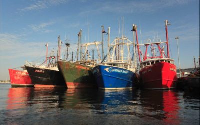 Request for Proposals: New Bedford Seafood Incubator Feasibility Study
