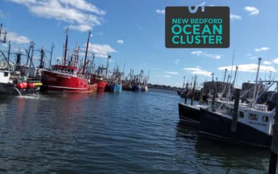 THE NEW BEDFORD OCEAN CLUSTER ANNOUNCES IT’S INCORPORATION