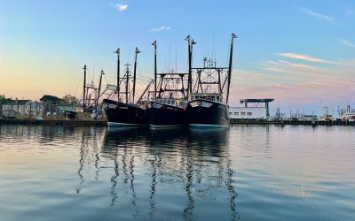 The New Bedford Ocean Cluster Announces $100,000 in Scholarship Awards to Marine Tech Startups